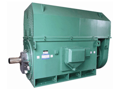 YR5004-8Y系列6KV高压电机